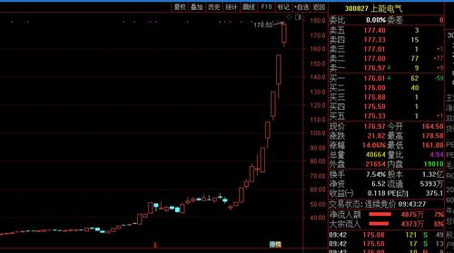 無(wú)視風(fēng)險(xiǎn)提示 資金瘋狂追捧 上能電氣10個(gè)交易日漲270